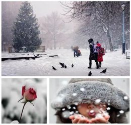 柔光·地標 | 寒冷冬日，只想擁有一個溫暖小家！